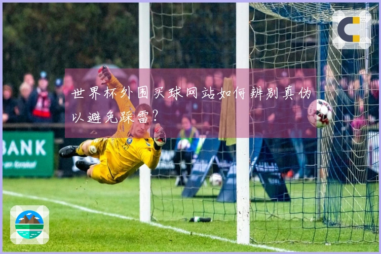 世界杯外围买球网站如何辨别真伪以避免踩雷？