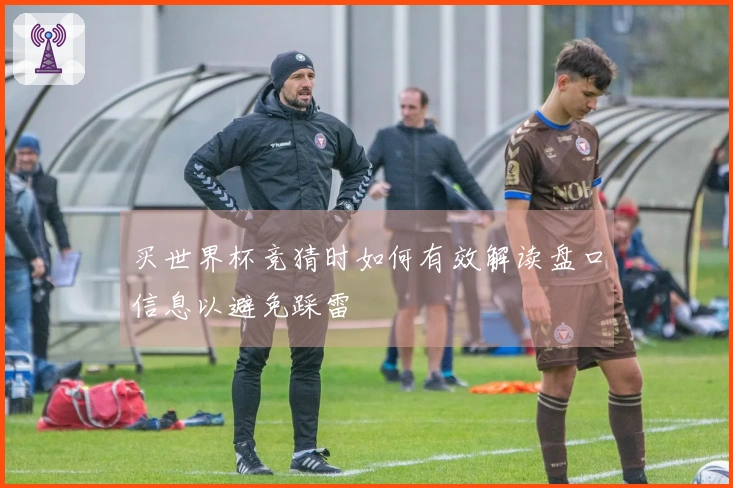 买世界杯竞猜时如何有效解读盘口信息以避免踩雷