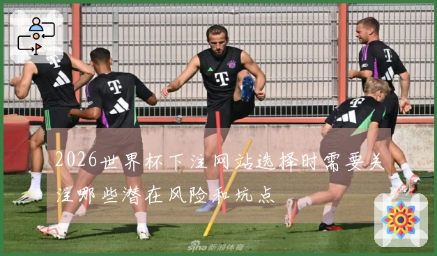 2026世界杯下注网站选择时需要关注哪些潜在风险和坑点