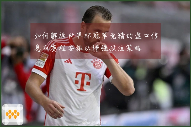 如何解读世界杯冠军竞猜的盘口信息和赛程安排以增强投注策略