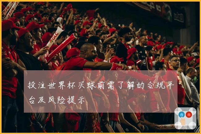 投注世界杯买球前需了解的合规平台及风险提示
