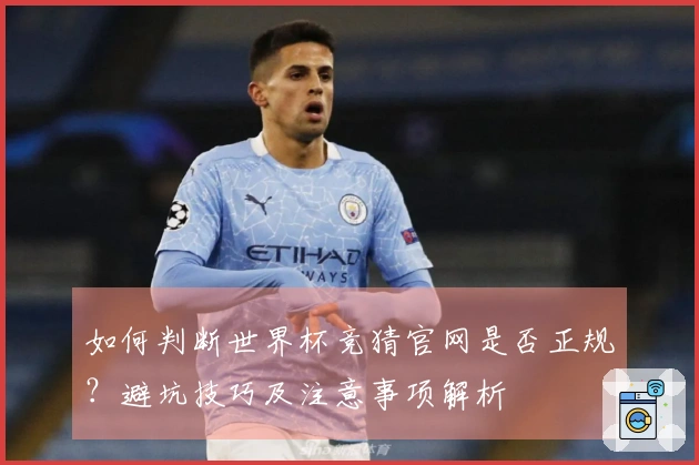 如何判断世界杯竞猜官网是否正规？避坑技巧及注意事项解析