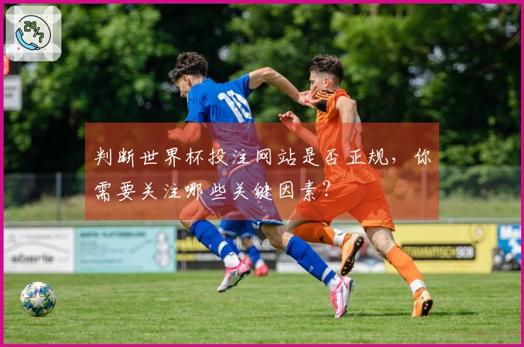 判断世界杯投注网站是否正规，你需要关注哪些关键因素？