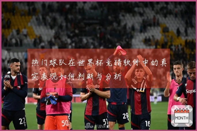 热门球队在世界杯竞猜软件中的真实表现如何判断与分析