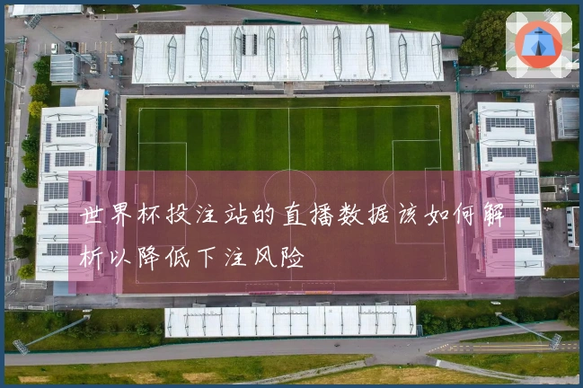 世界杯投注站的直播数据该如何解析以降低下注风险