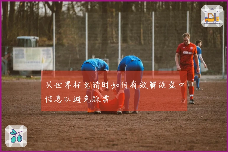 买世界杯竞猜时如何有效解读盘口信息以避免踩雷