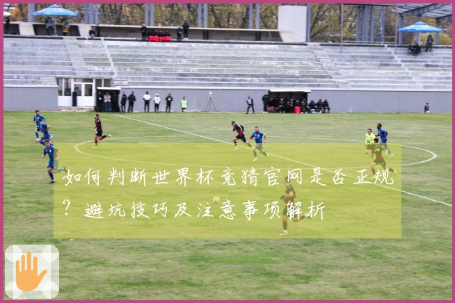 如何判断世界杯竞猜官网是否正规？避坑技巧及注意事项解析